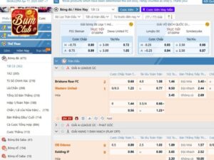 BUMCLUB – Cổng Game Cá Cược Trực Tuyến Uy Tín, Đăng Nhập Nhanh Với Link Mới Nhất 12 Da dang thi truong cuoc mang den co hoi kiem tien moi ngay
