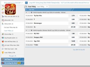 Quy dinh chuan trong luat choi ca cuoc bong nuoc